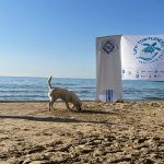 Foto p.g.c. Legambiente